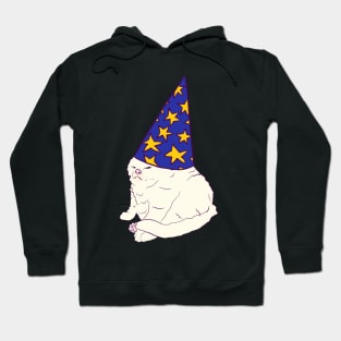 Wizard Kitty Hoodie